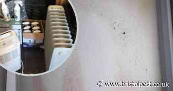 Man in tears over response to improve 'hellhole' mouldy flat