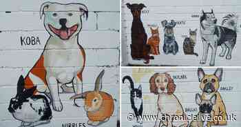 The story behind the Northumberland pet mural