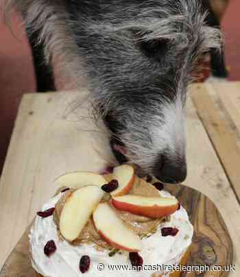 Treat your dog to a pupcake during The Great British Bake Off with this great recipe