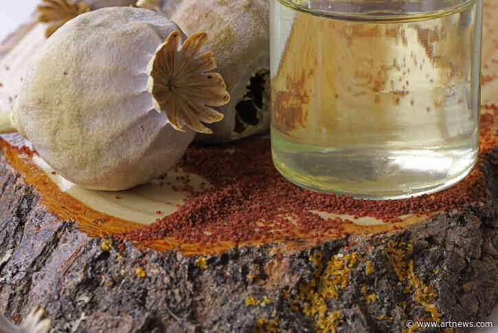 The Best Poppy Liquid Extract and Oil for Your Drying Needs