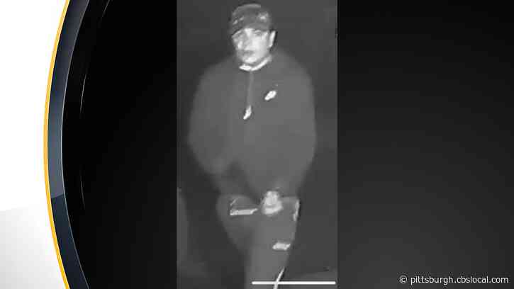 White Oak Police Seek Alleged Attempted Burglary Suspect