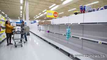 'We're not out of paper': Expert cautions against panic buying during second wave