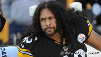 Troy Polamalu part of Steelers 2020 Hall of Honor class: Here's a look at everybody who made the cut