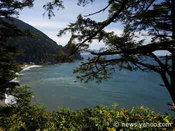 Man dies after falling 100 feet from Oregon cliff while posing for photo in tree