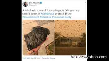 Football-sized chunks of ash rain down on Bay Area as California wildfires rage