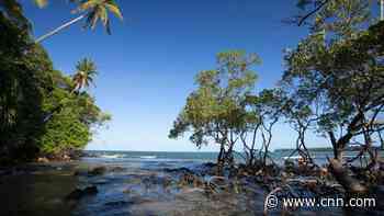 Brazil weakens another ecosystem key to curbing climate change