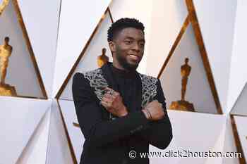 Wakanda Forever: Houston artist, Imagineer pays tribute to Chadwick Boseman in mural at Disneyland - KPRC Click2Houston