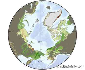 Rapid Greening Across Arctic Tundra Studied via NASA Satellites – “Really a Bellwether of Global Climatic Change”