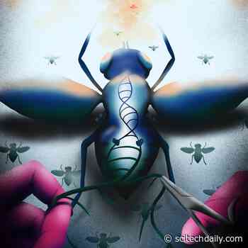 New Genetic Systems Created by Biologists to Neutralize Gene Drives