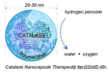 Common Low-Cost Antioxidant Enzyme Is Potential Treatment for COVID-19