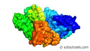 Plastic-Eating Super-Enzyme “Cocktail” Offers New Hope for Plastic Waste Solution