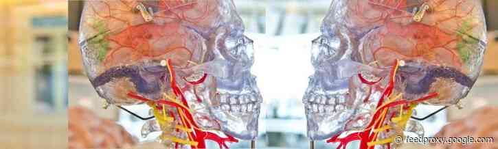 Behavioral design: speel in op het onbewuste voor de beste app