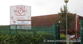 Year 4 pupil at Newcastle primary School diagnosed with coronavirus