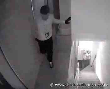 Renewed appeal after CCTV catches burglar in Erith