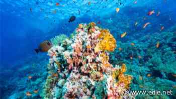 Credit Suisse raises $212m for 'world's first' ocean health impact fund