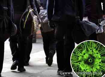 Coronavirus: Total number of North Yorkshire schools and other educational establishments with positive cases