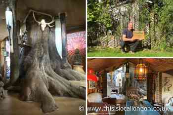 Blackheath family sanctuary wins Shed of the Year 2020
