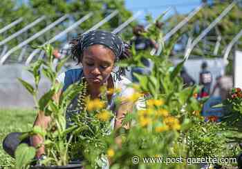 POISE receives share of Gates Foundation money for COVID-19 relief