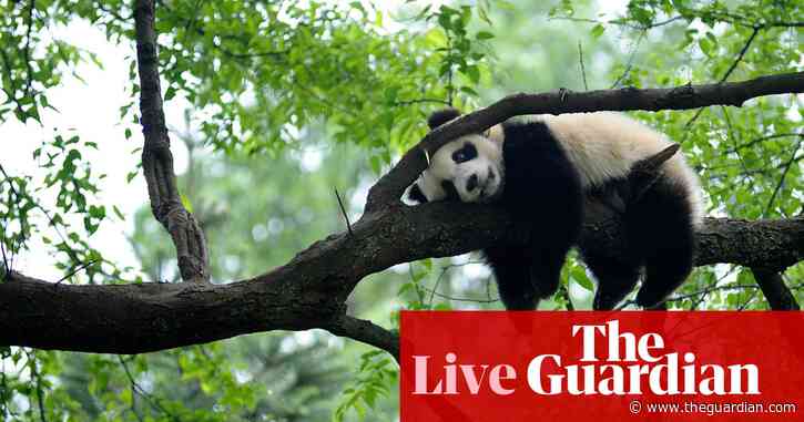 Xi Jinping to address world leaders at UN biodiversity summit – live