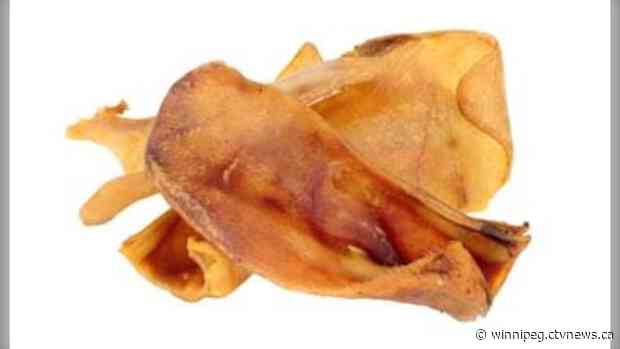 One person dead from salmonella linked to dog treats