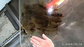 Hungry polar bear damages RCAF search and rescue chopper