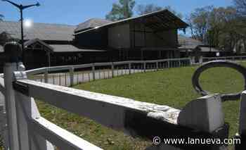 Confirmado: Coronel Suárez no tendrá exposición rural este año - La Nueva