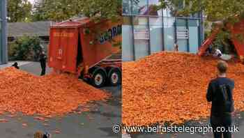 29 tonnes of carrots dumped outside London university for art installation