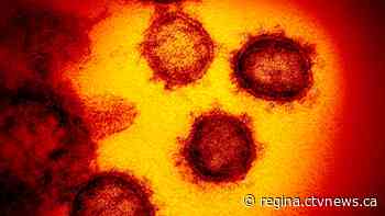 Sask. reports 14 new COVID-19 cases; 139 active cases