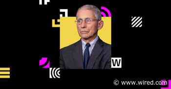 Anthony Fauci Has Some Very Good Reasons to Be Optimistic