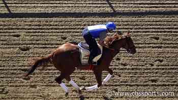 2020 Preakness Stakes: Horses, jockeys and trainers participating in 145th running of the race