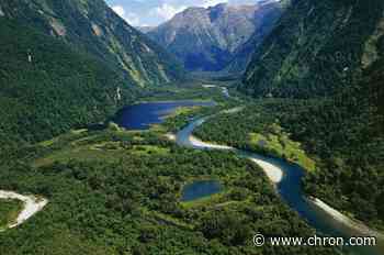Frustrated Americans search for 'how to move to New Zealand' during debate