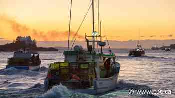 Mi'kmaq parliamentarians call for new body to deal with conflict over lobster fishery