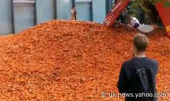 Truck load of carrots dumped outside London university