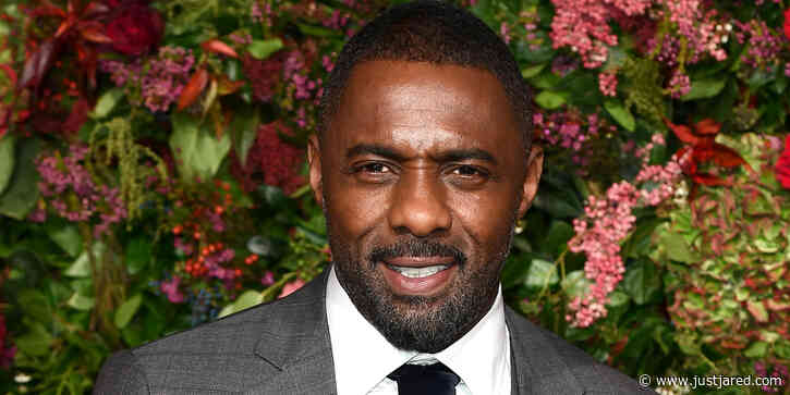 Idris Elba to Star in Lion-Themed Survival Thriller 'Beast'