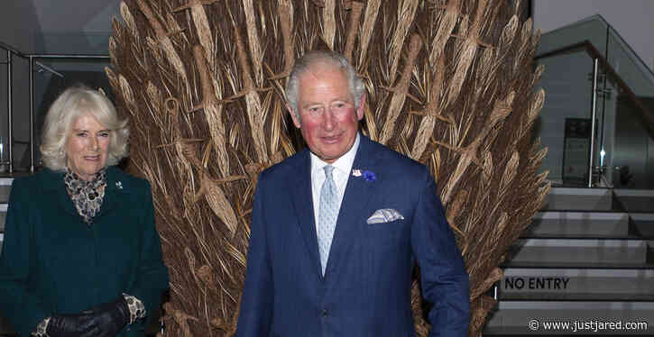 Prince Charles Wears a Mask, Poses In Front of 'Game of Thrones' Wrap Party Throne!