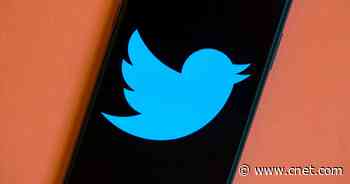 Twitter will add transcriptions for voice tweets to promote accessibility     - CNET