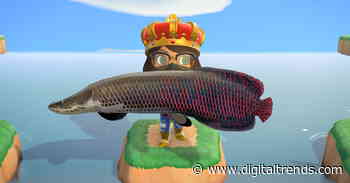 Animal Crossing: New Horizons fish guide for October 2020