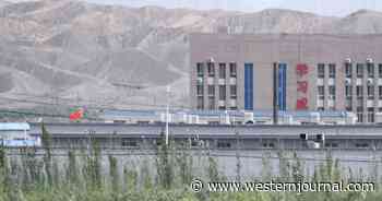 Congress Hits China Again Over Forced Labor of Uighur Minorities