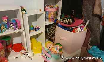 Ferny Hills, Brisbane, family find a carpet python hidden inside their child's toy collection