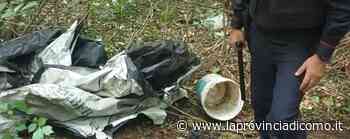 Blitz antidroga nell'Erbese Scoperti due bivacchi - La Provincia di Como