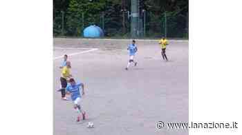 Niente erba al... Marchini I lavori ancora da affidare - La Nazione