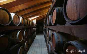 Aceto balsamico di Modena, il progetto che punta sulla realtà virtuale - Sky Tg24