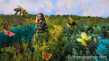 Ryerson professor advocates for lawn biodiversity in Toronto - The Eyeopener