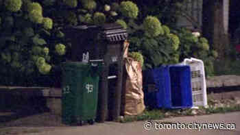 Pandemic prompts changes to Toronto garbage rules - CityNews Toronto