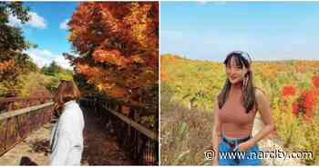 8 Serene Toronto Spots Where You Can Get Stunning Fall Views Without The Crowds - Narcity Canada