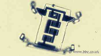 Scientists create a microscopic robot that ‘walks’