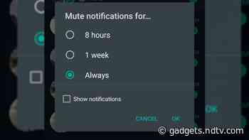 WhatsApp Enables Always Mute, New Storage UI, Media Guidelines Features in Latest Android Beta