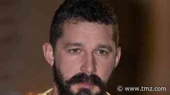 Shia LaBeouf Charged with Battery, Petty Theft Stemming from June Incident