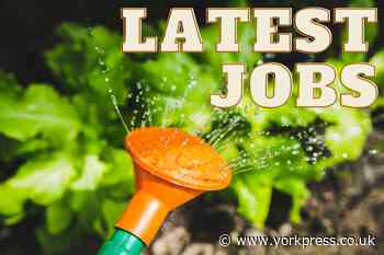 JOB SEARCH: Check out the latest vacancies in York