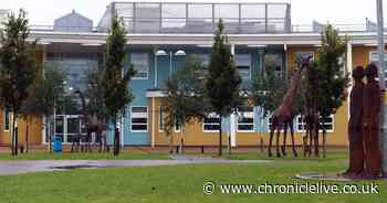 Two coronavirus cases confirmed at one of the largest schools in Newcastle